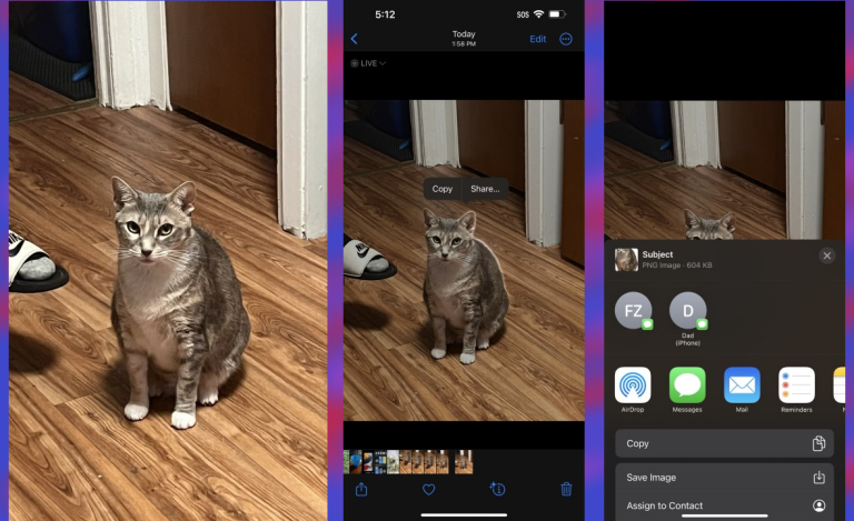 Making a sticker out of a goofy cat.